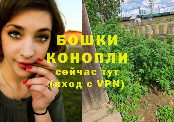 СК Горно-Алтайск