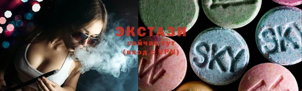ешки Дубна