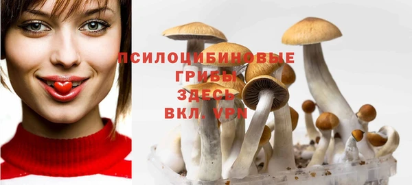 скорость Горнозаводск
