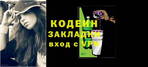 хмурый Гусь-Хрустальный