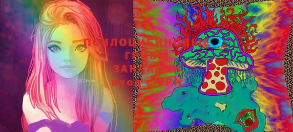 хмурый Гусь-Хрустальный