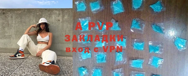 СК Горно-Алтайск