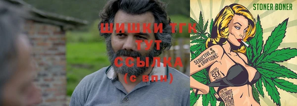 соль ск Сосновый Бор